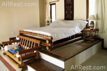 Coconut Paradise 24